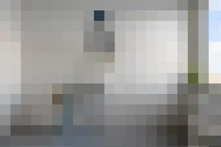 Razende Bol 25 Heemskerk thumbnail 27