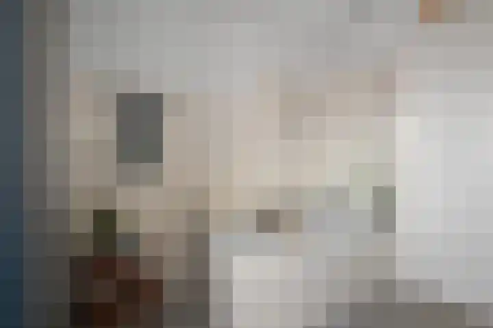 Razende Bol 25 Heemskerk thumbnail 28
