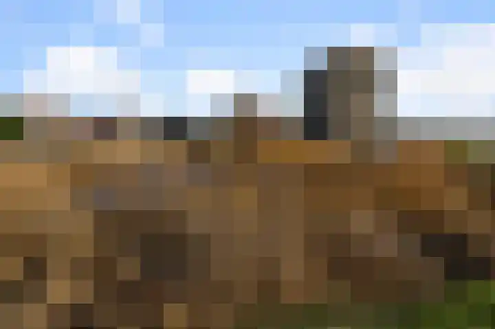 Razende Bol 25 Heemskerk thumbnail 30