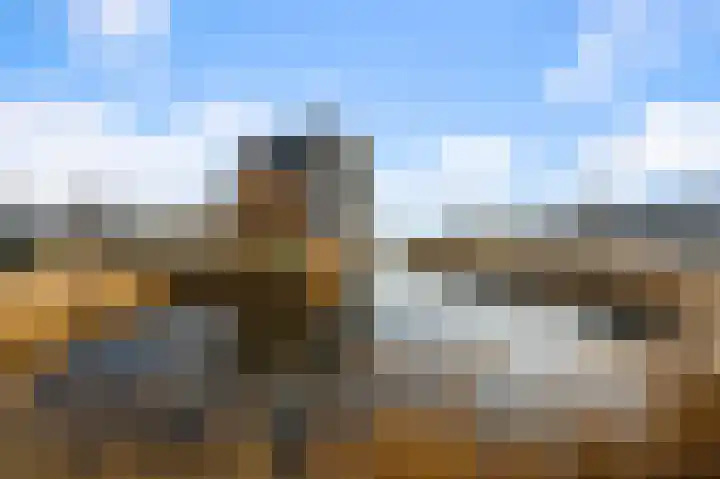 Razende Bol 25 Heemskerk thumbnail 32