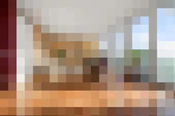 Razende Bol 25 Heemskerk thumbnail 4
