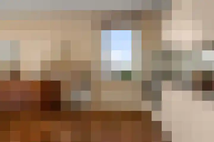 Razende Bol 25 Heemskerk thumbnail 6
