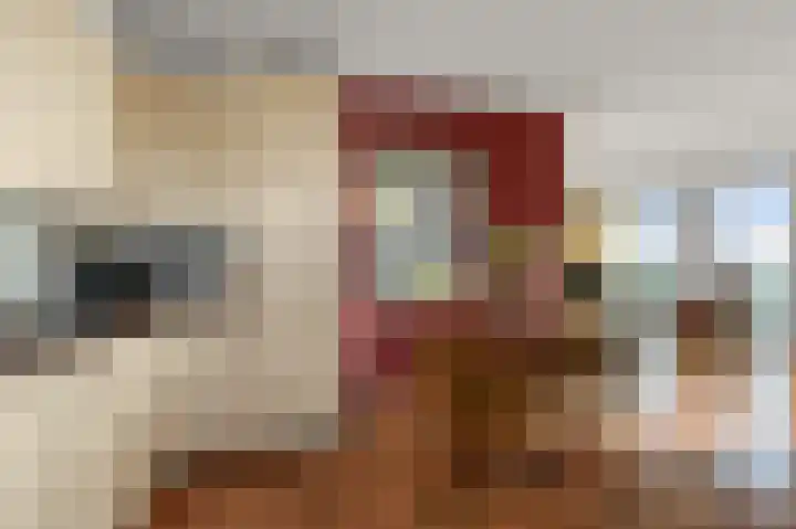 Razende Bol 25 Heemskerk thumbnail 7