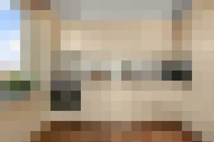 Razende Bol 25 Heemskerk thumbnail 8
