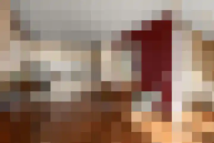 Razende Bol 25 Heemskerk thumbnail 9