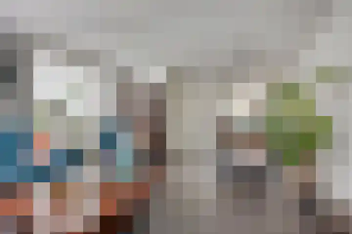 Reaal 18 Uden thumbnail 10
