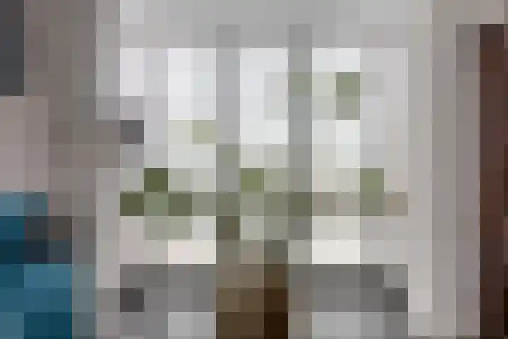 Reaal 18 Uden thumbnail 11