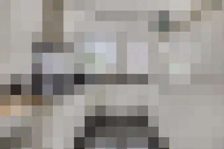 Reaal 18 Uden thumbnail 15