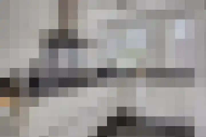Reaal 18 Uden thumbnail 16