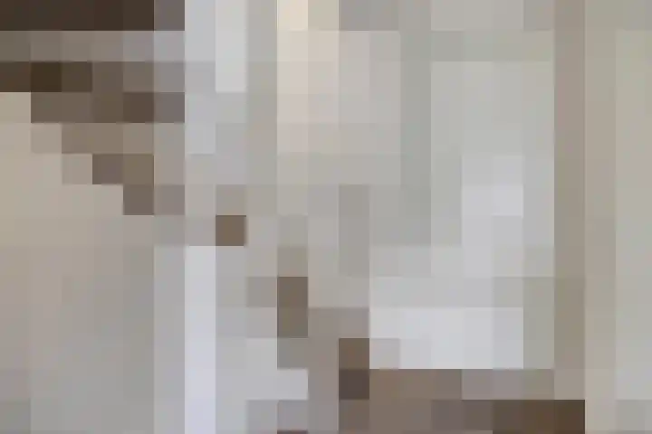 Reaal 18 Uden thumbnail 18