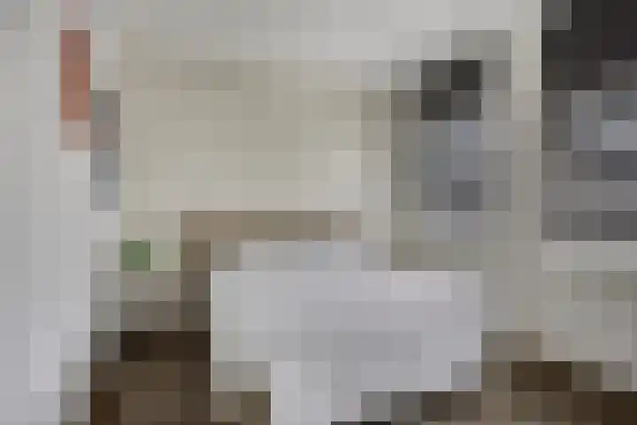 Reaal 18 Uden thumbnail 19
