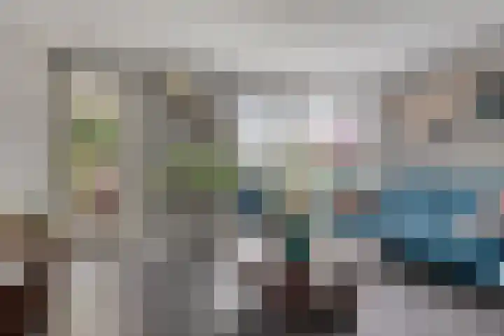Reaal 18 Uden foto 2