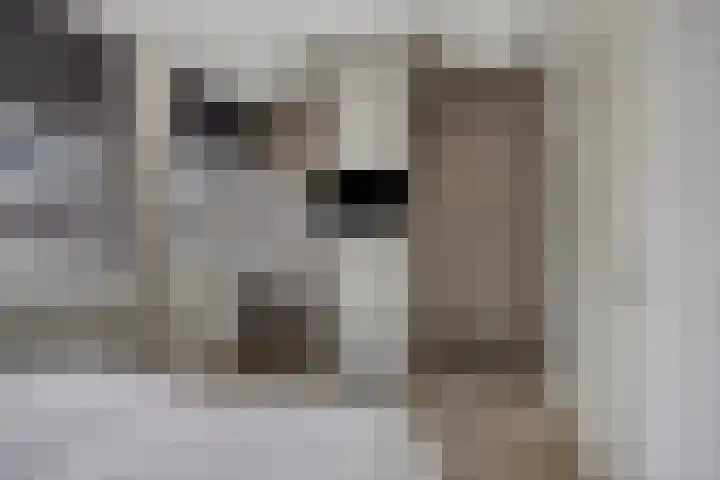 Reaal 18 Uden thumbnail 20