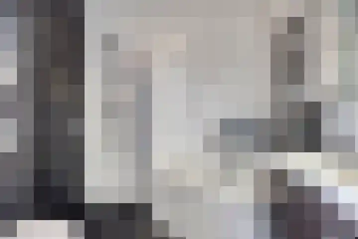 Reaal 18 Uden thumbnail 21