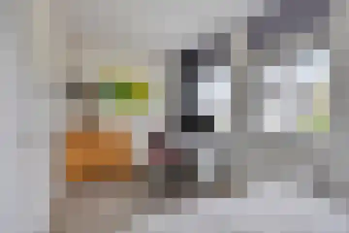 Reaal 18 Uden thumbnail 24