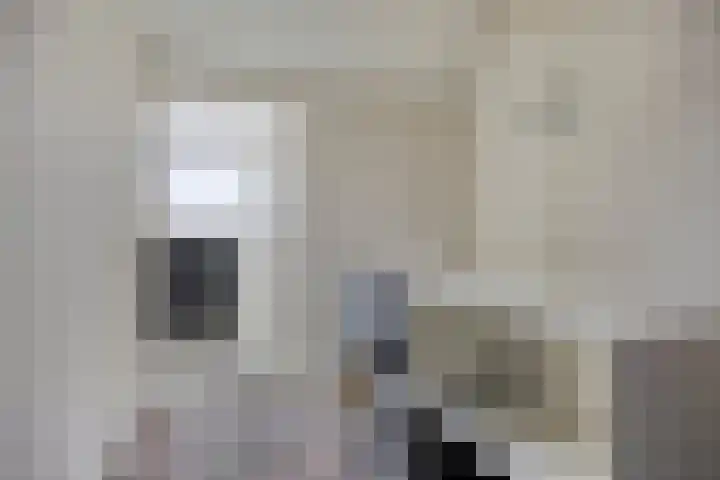Reaal 18 Uden thumbnail 25