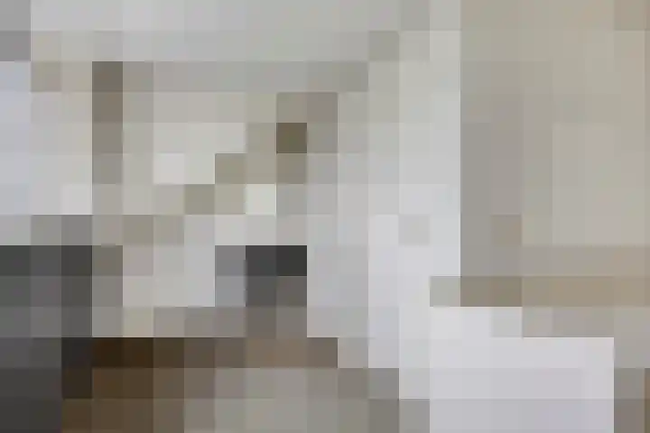 Reaal 18 Uden thumbnail 26