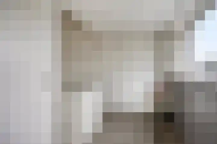 Reaal 18 Uden thumbnail 27
