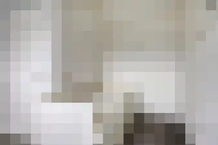 Reaal 18 Uden thumbnail 28