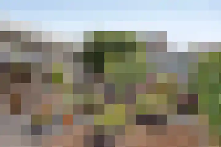 Reaal 18 Uden thumbnail 30