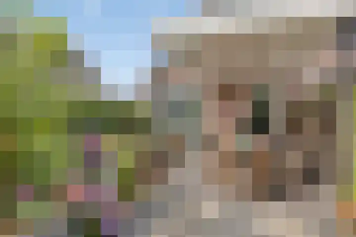 Reaal 18 Uden thumbnail 31
