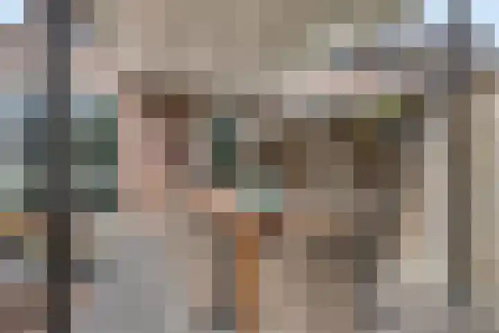 Reaal 18 Uden thumbnail 32