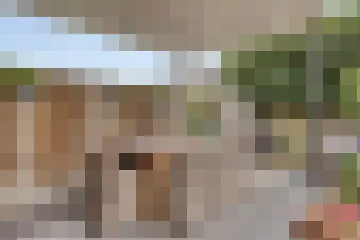 Reaal 18 Uden thumbnail 33