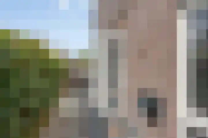 Reaal 18 Uden thumbnail 34