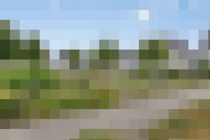 Reaal 18 Uden thumbnail 36