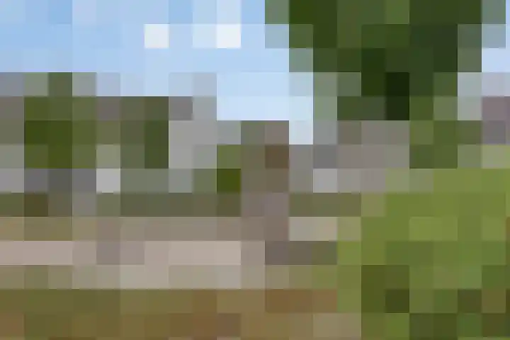 Reaal 18 Uden thumbnail 37