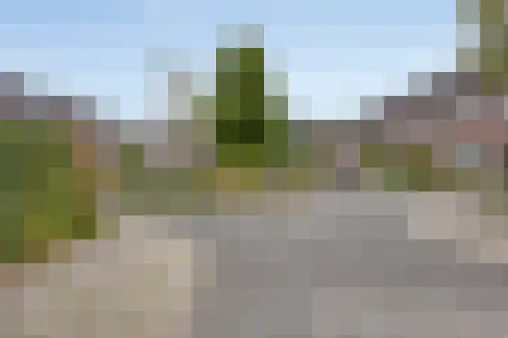 Reaal 18 Uden thumbnail 38