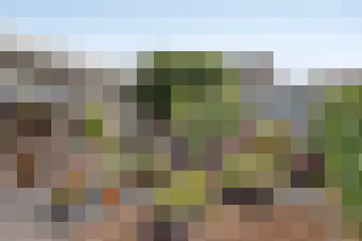 Reaal 18 Uden thumbnail 4