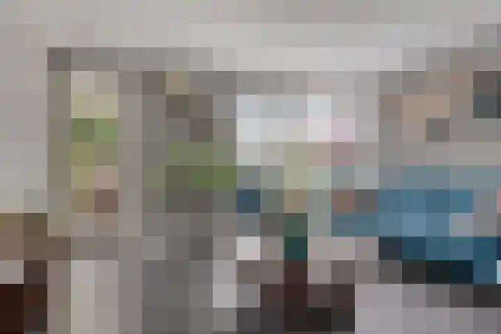 Reaal 18 Uden thumbnail 8