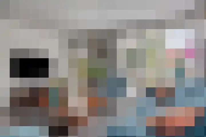 Reaal 18 Uden thumbnail 9