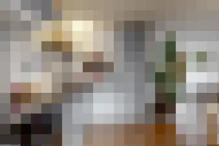 Reaal 2 Hoorn thumbnail 10