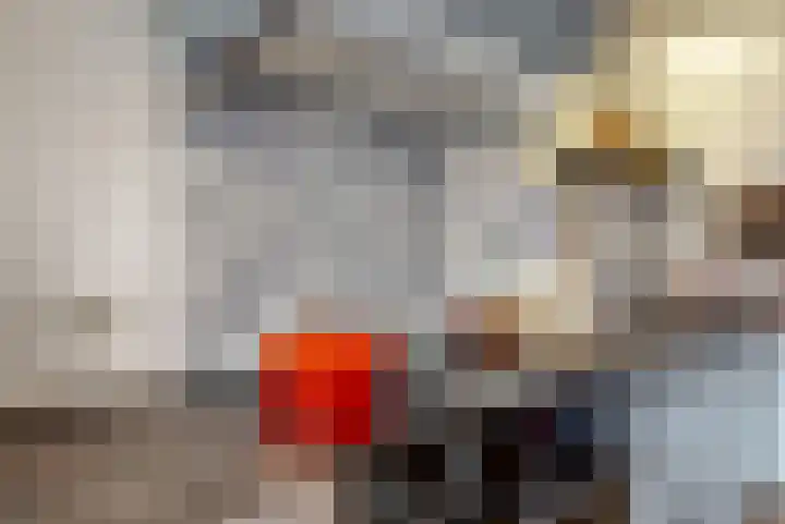 Reaal 2 Hoorn thumbnail 11