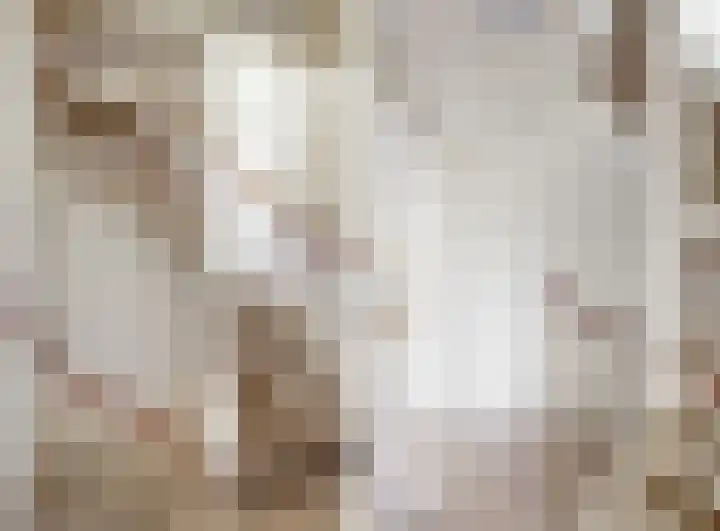 Reaal 2 Hoorn thumbnail 13