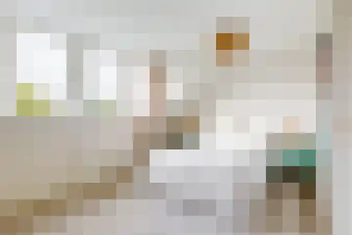 Reaal 2 Hoorn thumbnail 14