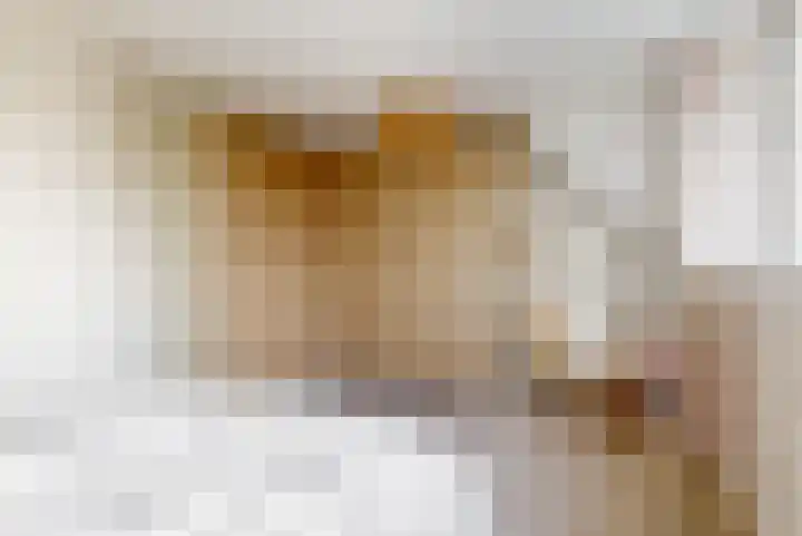 Reaal 2 Hoorn thumbnail 16