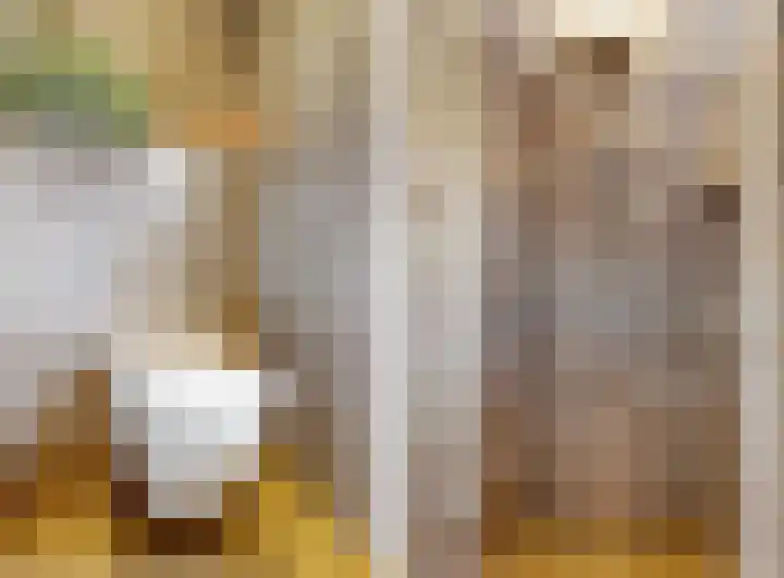Reaal 2 Hoorn thumbnail 20