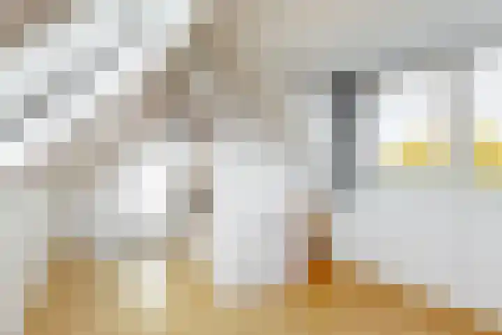 Reaal 2 Hoorn thumbnail 21