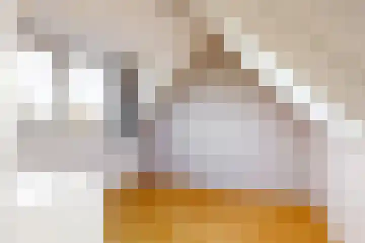 Reaal 2 Hoorn thumbnail 22