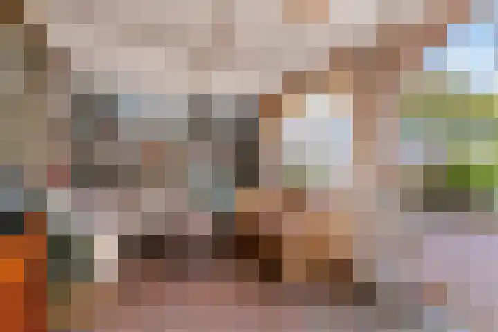 Reaal 2 Hoorn thumbnail 23
