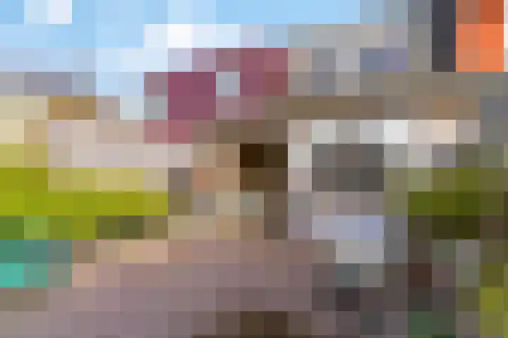 Reaal 2 Hoorn thumbnail 26