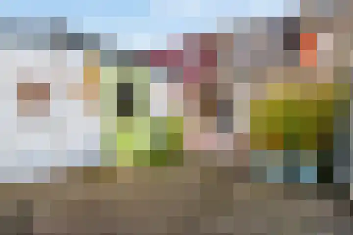 Reaal 2 Hoorn thumbnail 27