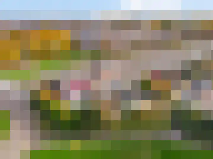 Reaal 2 Hoorn thumbnail 29