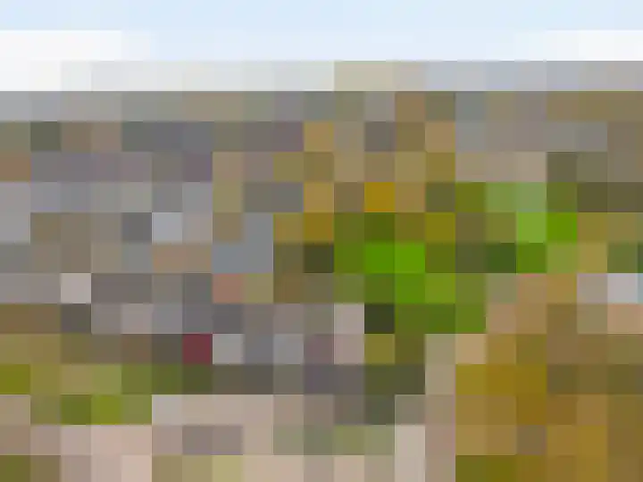 Reaal 2 Hoorn thumbnail 30