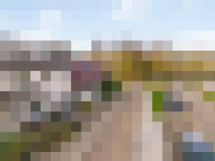 Reaal 2 Hoorn thumbnail 31