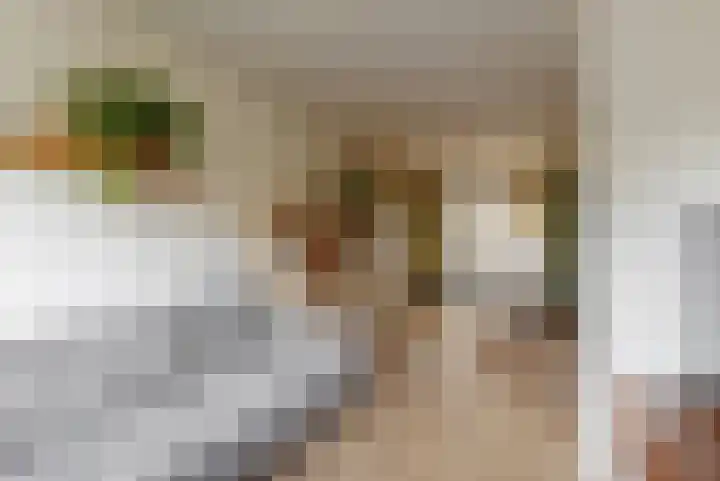 Reaal 2 Hoorn thumbnail 5