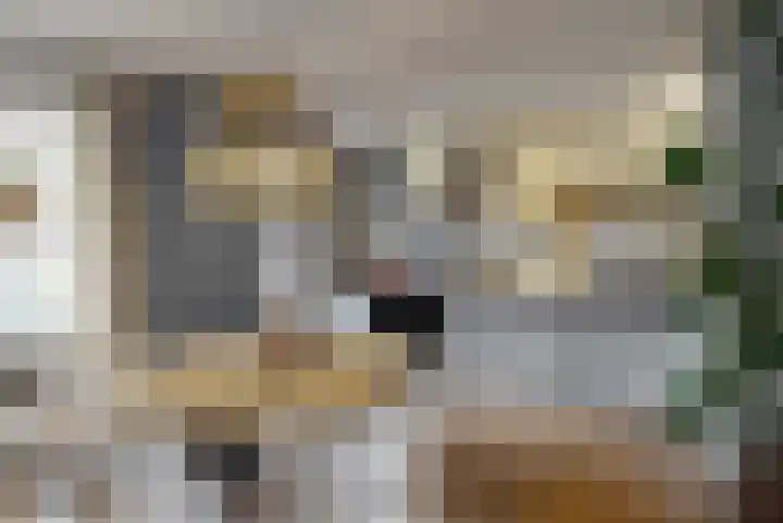 Reaal 2 Hoorn thumbnail 8